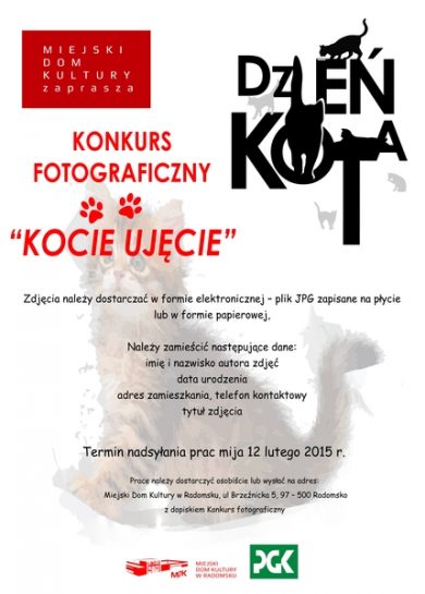 12.02.2015 - KONKURS FOTOGRAFICZNY KOCIE UJĘCIE