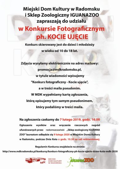 Konkurs fotograficzny ph. KOCIE UJĘCIE - Dzień Kota MDK 2020